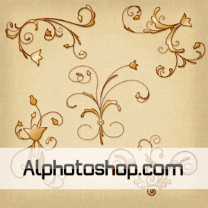 اشكال ornaments