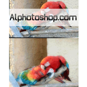 فلتر ppsoftfocus