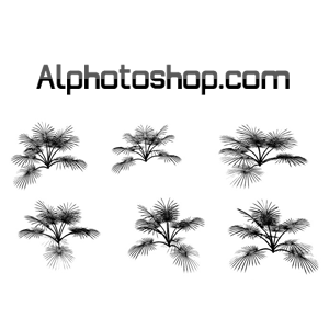 اشكال plants