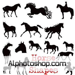اشكال خيول