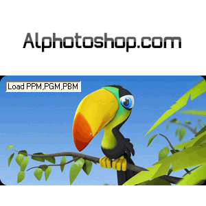 فلتر pixmap