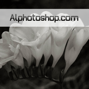 فلتر ابيض واسود