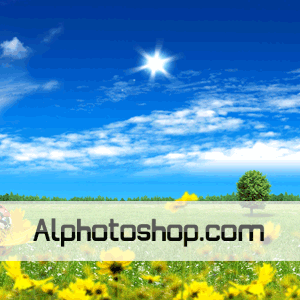 خلفية زهرة عباد الشمس