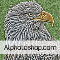 فلتر localeq ualization