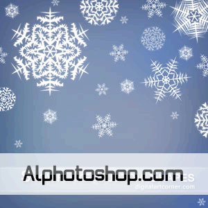 اشكال اشارات الثلج