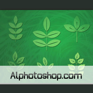 فراشي اوراق نباتية