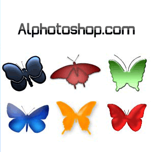 اشكال فراشات